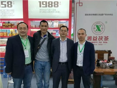 湘益茯茶6年耕耘，讓“金花”開遍巴蜀大地