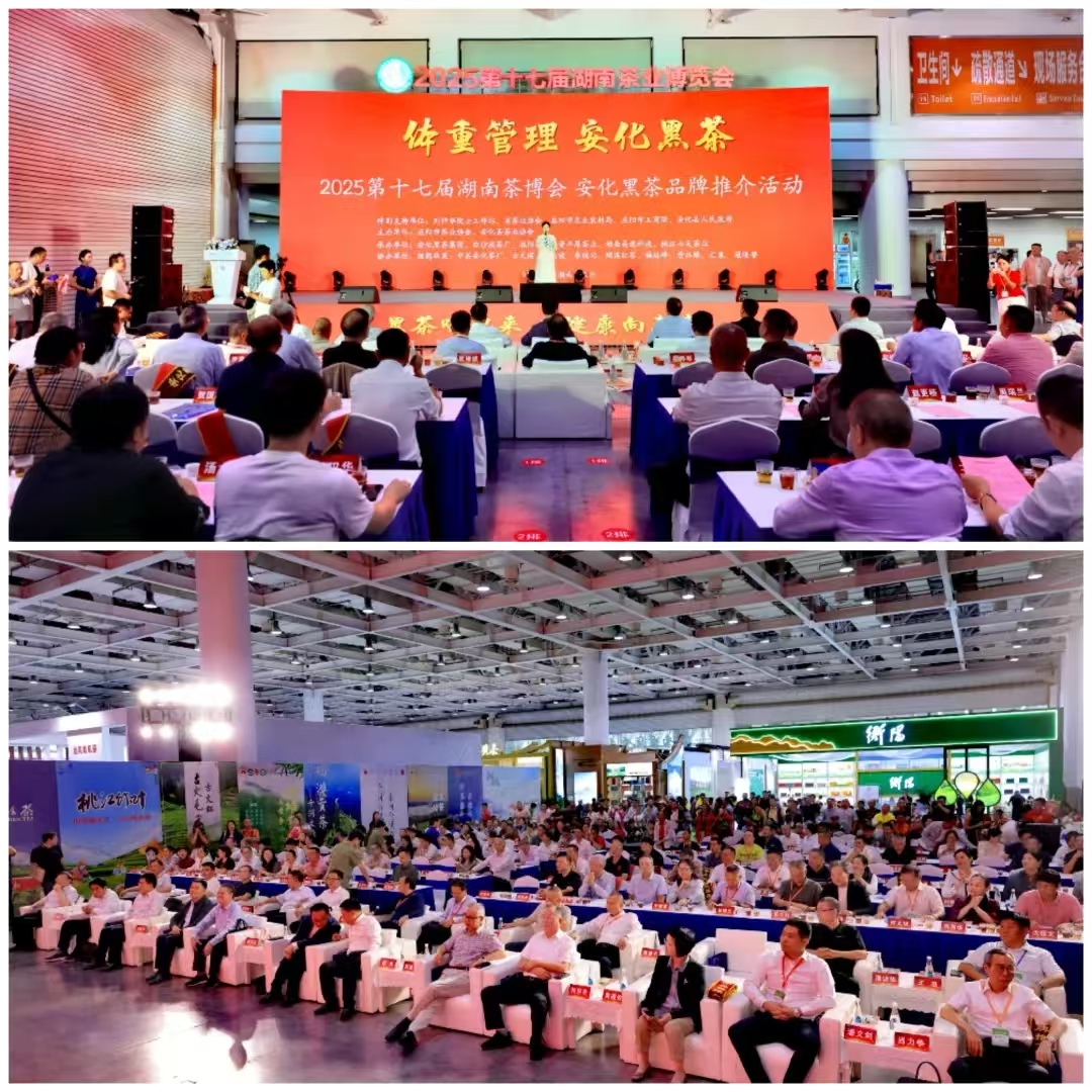 破局邊銷二十載，開啟茯茶新紀元——湘益茯茶“紀廿”新品璀璨發(fā)布